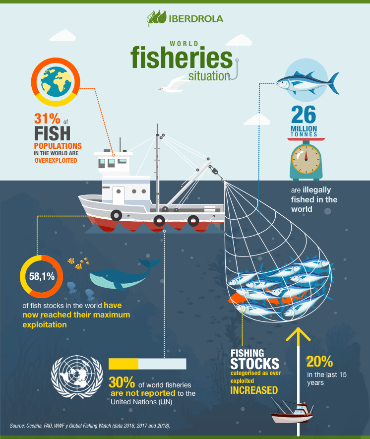 Sustainable Fishing Practices