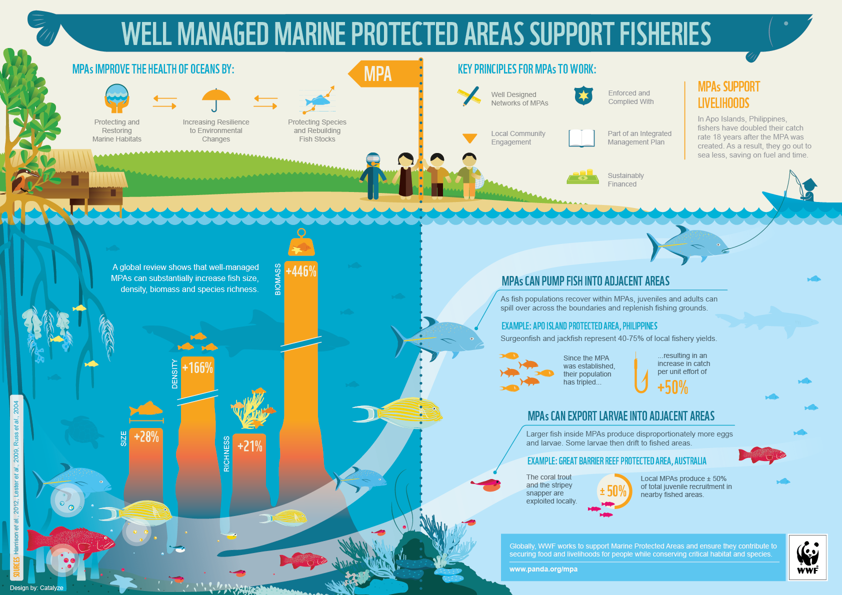 Economic Impact of Coral Reefs
