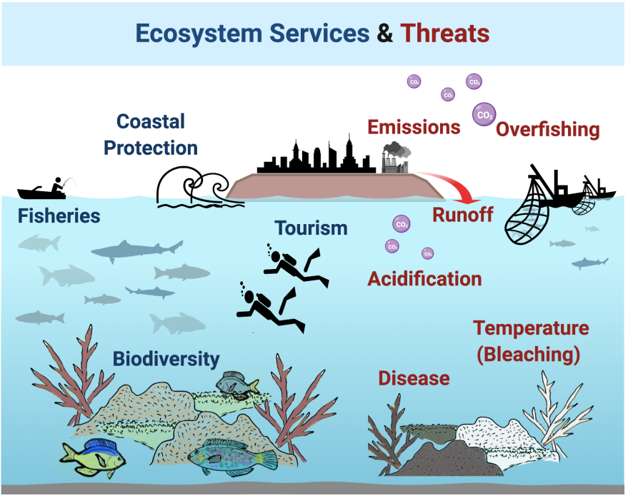 Illustration of causes of coral reef degradation