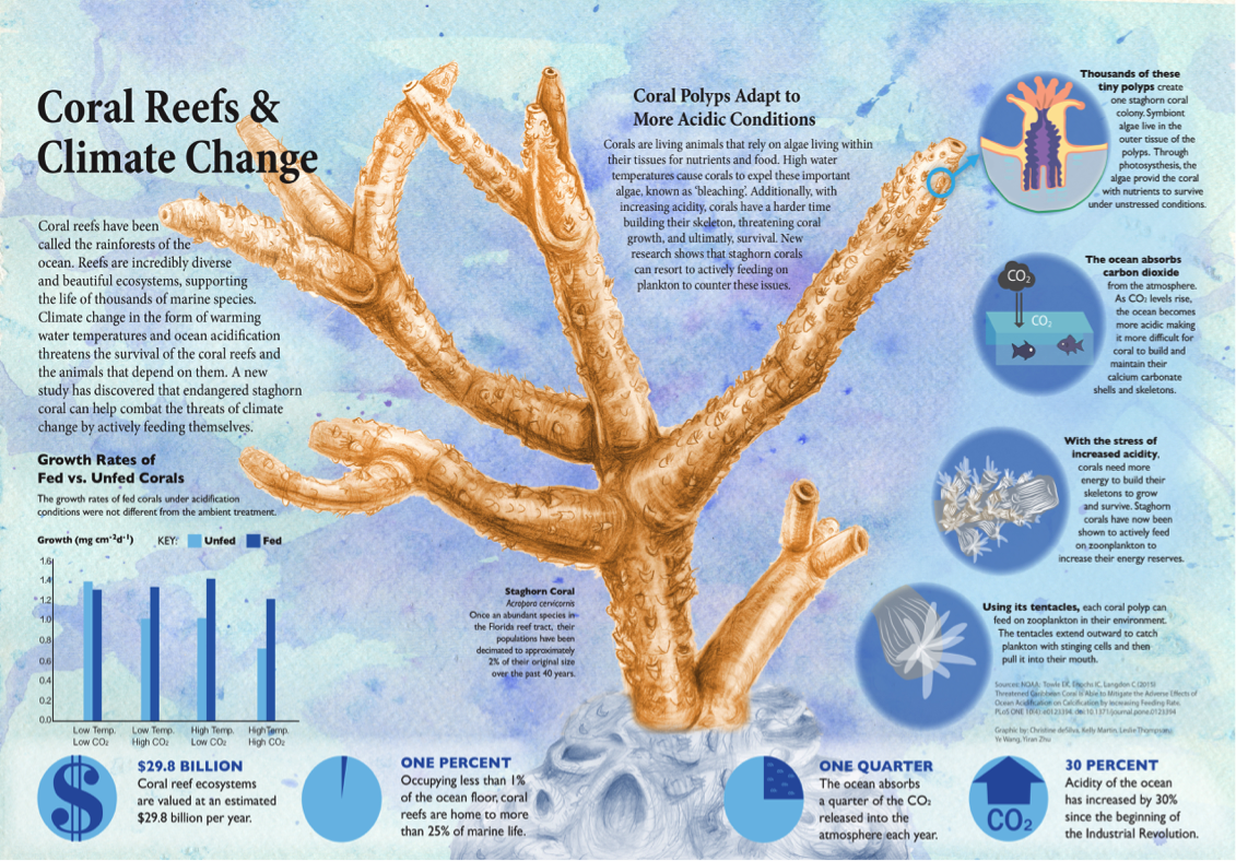 Effects of climate change on coral reefs
