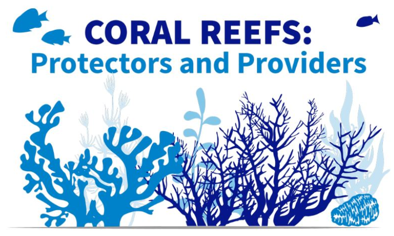 Coral Reef Actions