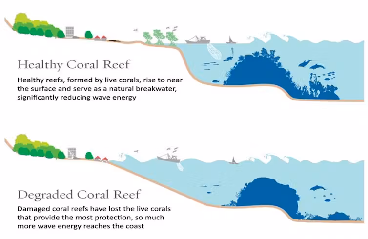 Coral Reefs and Coastal Protection
