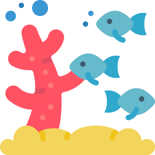 Loss of Coral Reefs