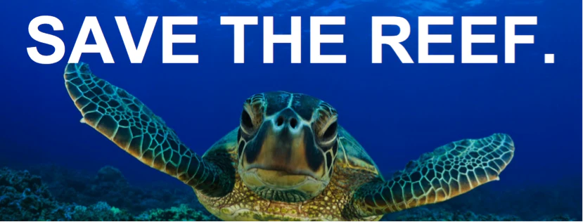 Coral Reef Advocacy